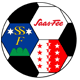 fc saas fee